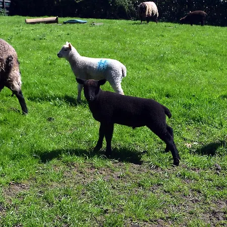 Orchard Grove R21rc58 Panzió 4*