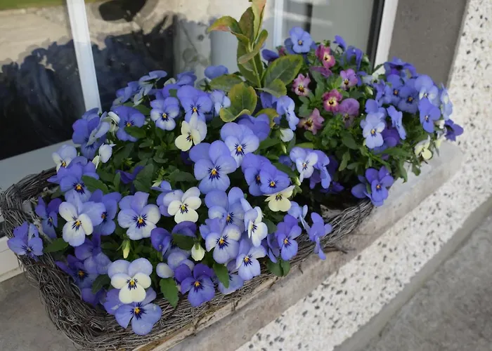 Orchard Grove R21rc58 Bagenalstown