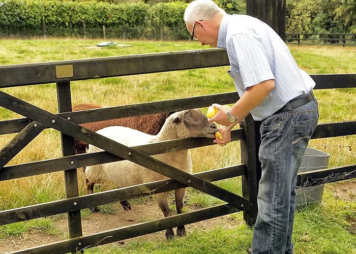 Orchard Grove R21rc58 Couette-café Bagenalstown